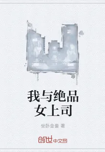 《我与绝品女上司》小说封面