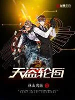 《天盗轮回》小说封面