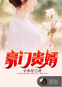 《豪门贵婿》小说封面