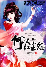 《何以红尘怨》小说封面