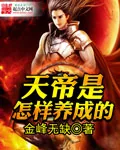 《天帝是怎样养成的》小说封面