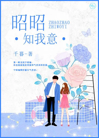 《昭昭知我意》小说封面