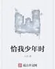 《恰我少年时》小说封面