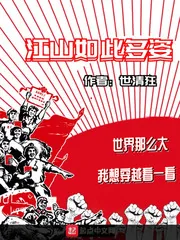 《江山如此多姿》小说封面