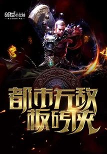 《都市无敌板砖侠》小说封面