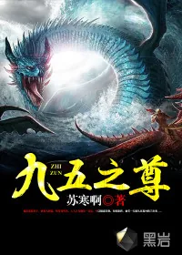 《九五之尊》小说封面