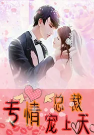 《专情总裁宠上天》小说封面