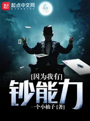 《因为我有钞能力》小说封面