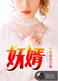 《妖婿》小说封面