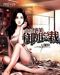 《我的绝美御姐老婆》小说封面