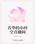 《若华的小时空直播间》小说封面