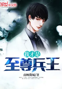 《我才是至尊兵王》小说封面