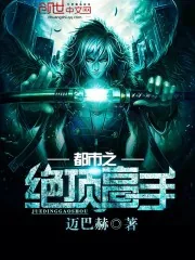 《都市之绝顶高手》小说封面