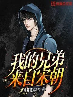 《我的兄弟来自宋朝》小说封面
