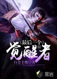 《最后一个觉醒者》小说封面