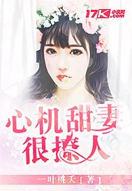 《心机甜妻很撩人》小说封面