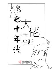 《七十年代大佬生涯》小说封面