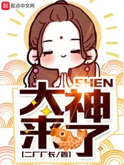 《大神，来了》小说封面
