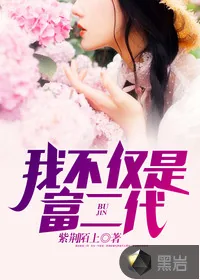 《我不仅是富二代》小说封面