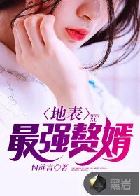 《地表最强赘婿》小说封面