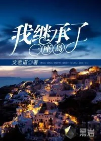 《我继承了一座岛》小说封面