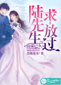 《情谋已久：陆先生求放过》小说封面