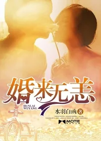 《婚来无恙》小说封面