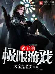 《老王的极限游戏》小说封面