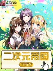 《二次元帝国》小说封面