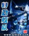 《特勤舰队》小说封面