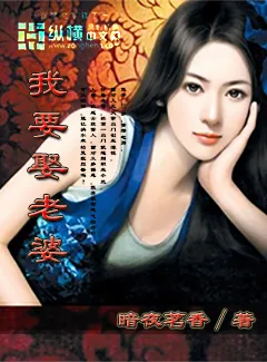 《我要娶老婆》小说封面