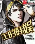《王的韩娱》小说封面