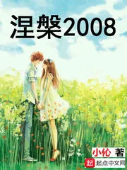 《涅槃2008》小说封面
