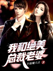 《我和绝美总裁老婆》小说封面