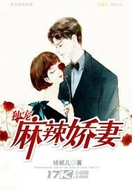 《独宠麻辣娇妻》小说封面