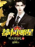 《都市小明星》小说封面