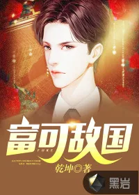 《富可敌国》小说封面