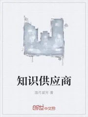 《知识供应商》小说封面