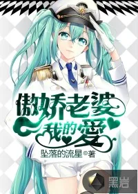 《傲娇老婆我的爱》小说封面
