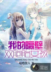 《我隔壁的双胞胎女孩》小说封面