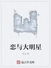 《恋与大明星》小说封面