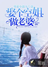 《娶个空姐做老婆》小说封面