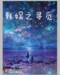 《韩娱之寻觅》小说封面