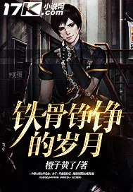 《铁骨铮铮的岁月》小说封面