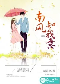 《南风知我意》小说封面
