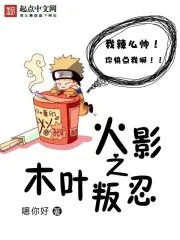 《火影之木叶叛忍》小说封面