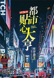 《都市贴心大亨》小说封面