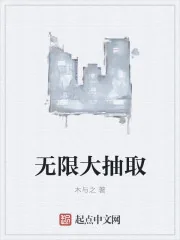 《无限大抽取》小说封面
