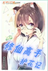 《修仙高手护花记》小说封面