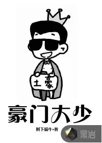 《豪门大少》小说封面
